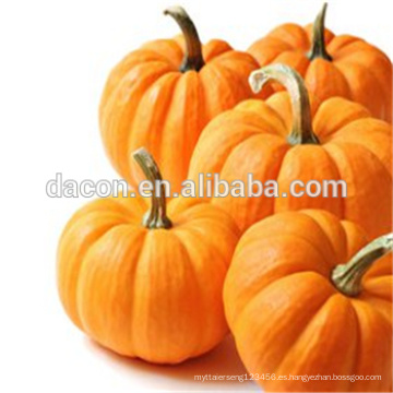 semilla de calabaza cucurbitina